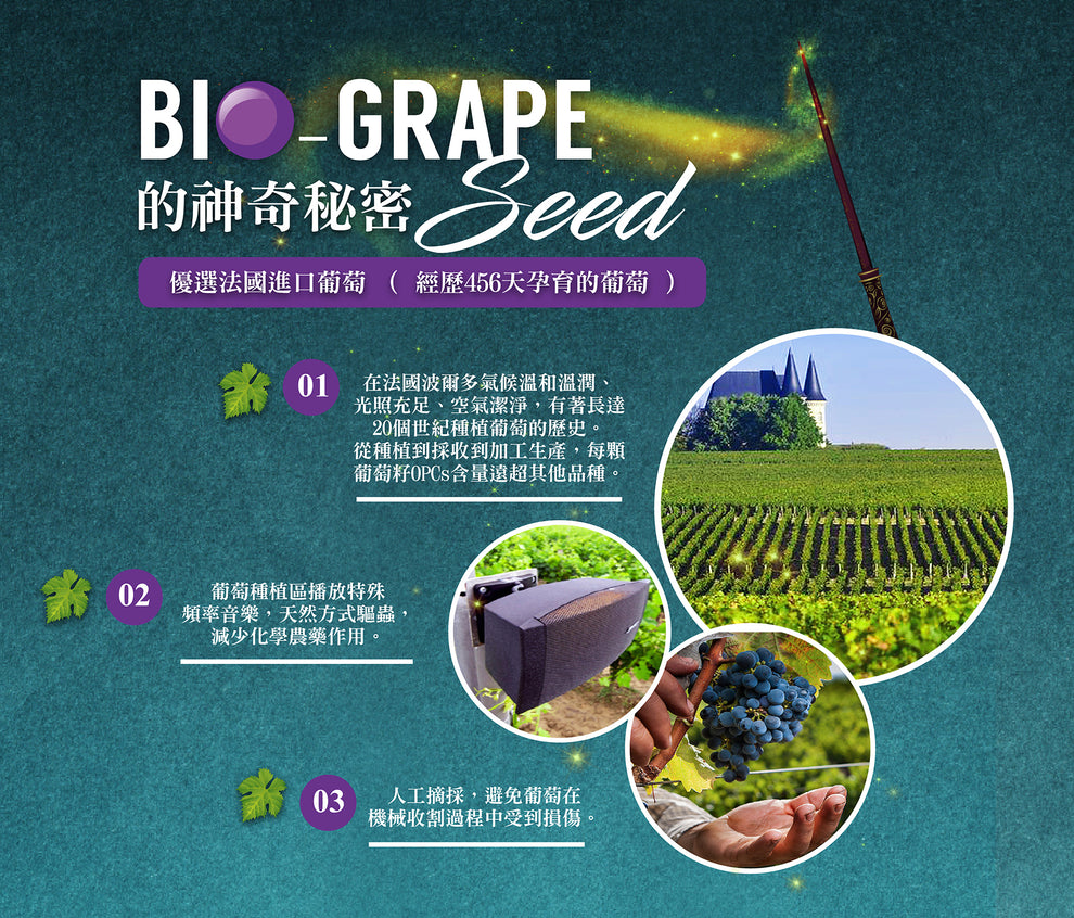BIO-GRAPE SEED 葡萄來源宣傳圖