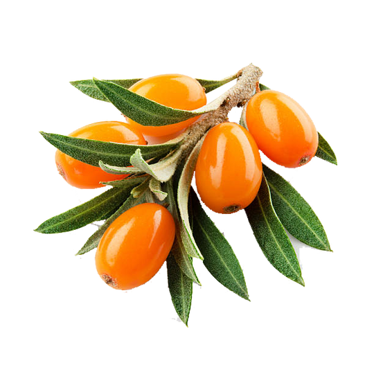 Puredia SeaBerry® 沙棘